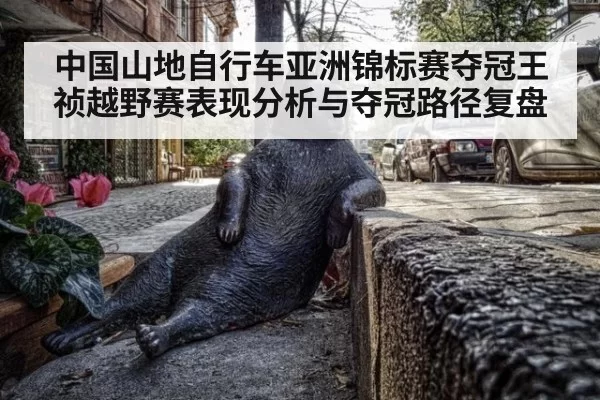 中国山地自行车亚洲锦标赛夺冠王祯越野赛表现分析与夺冠路径复盘